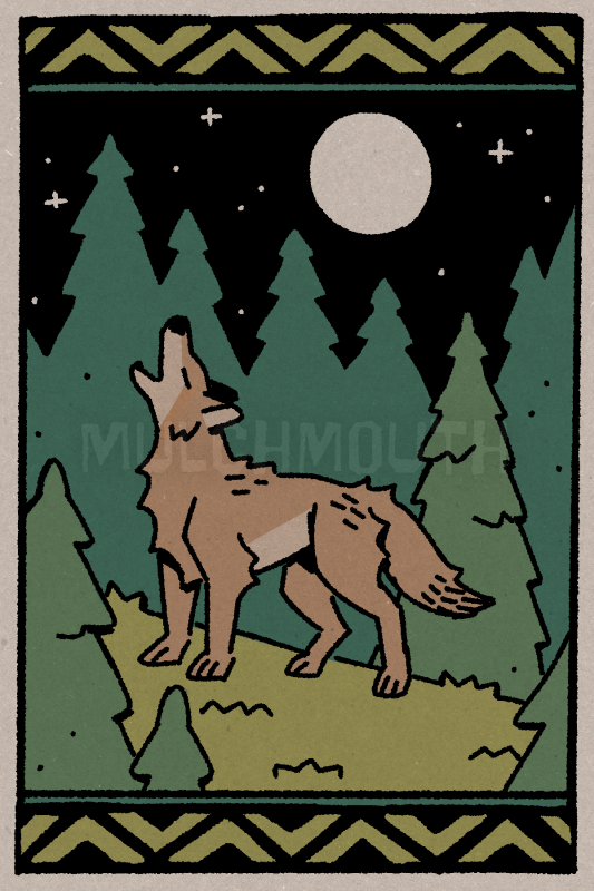 Call of the Coyote
